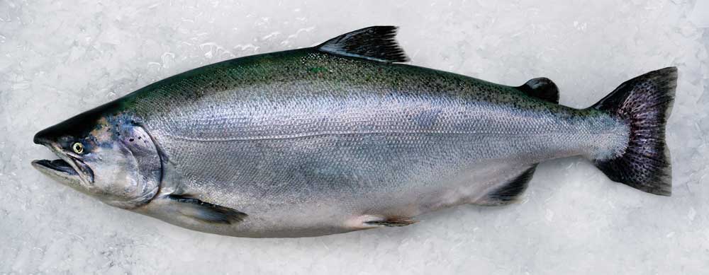 Top 4 Secrets to Picking the Best Salmon